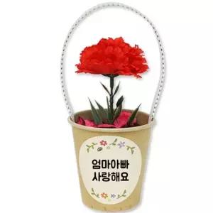 카네이션 화분방향제(5인용) 어버이날 스승의날 감사 선물
