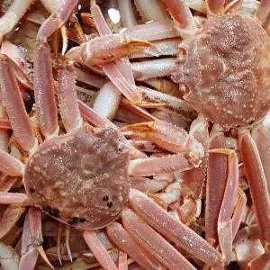 수율좋은 러시아 자숙 대게 2KG 수입자숙대게 러시아자숙대게 수입산대게찜