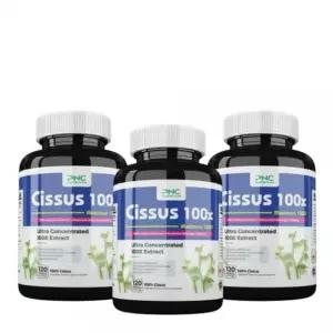 PNC 시서스 추출물 농축 1200mg 120캡슐 3병