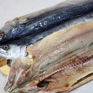 제주 손질 삼치 2미 제주산냉동삼치 국내산냉동삼치 손질삼치 급랭삼치 구이용삼치