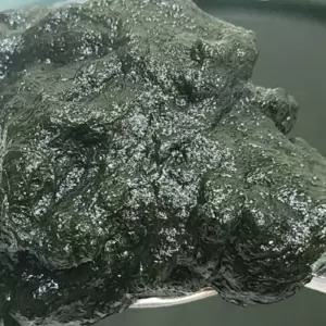 국내산 깊은맛 냉동 매생이 400g 3봉 국내산매생이 냉동매생이 급랭매생이 급냉매생이