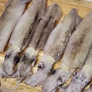 냉동 총알 한치 2KG 한치통찜 총알한치찜 냉동한치 수입산한치 급냉한치