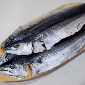 국내산 손질 삼치 4미 삼치 생선 냉동 손질 자연산