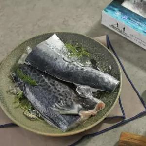 삼치선물세트 제주 삼치살 대 5팩 명절선물 추석선물 설선물 삼치선물 삼치세트