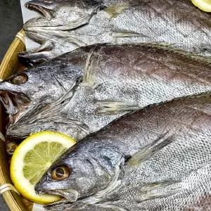 반건조 민어 특대 10미 반건조민어 수입반건조민어 냉동반건조민어 반건조생선