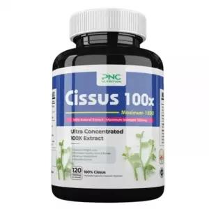 PNC 시서스 추출물 농축 1200mg 120캡슐