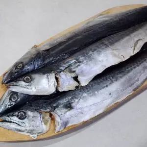 국내산 손질 삼치 1미 삼치 생선 냉동 손질 자연산