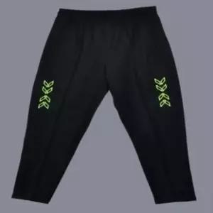 [SBD] 이너즈퍼 헬스장 바지 트레이닝 운동