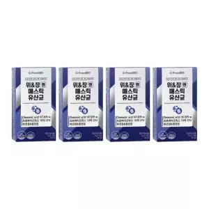 매스틱 유산균 이병헌 메스틱 매스티 노인 어르신 시니어 분말 15포 4박스 약2개월분 MJ