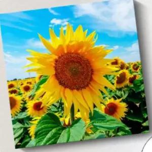 금전운그림 해바라기 그림 인테리어 액자