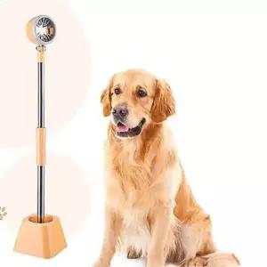 드라이기 애완견 고정 스탠드 용품 미용 거치대 용품 동물 펫 스탠드 애완