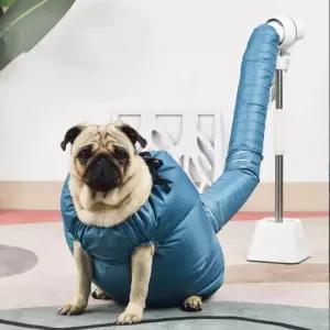 애견 목욕 드라이룸 강아지 목욕 애완동물미용 드라이기 펫미용용품 고양이