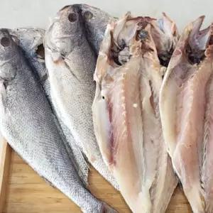 국내산 냉동 반건조 민어 4미 반건조민어 국내산건조민어 냉동반건조민어 반건조생선