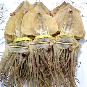 동해안 건조 오징어 원양산