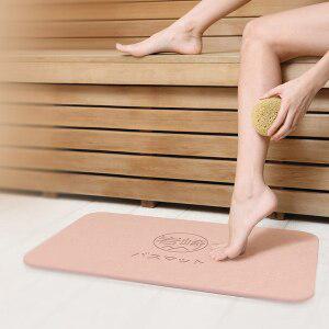 [아이엘]이와사키 규조토 발매트 L 3Color 택 1