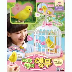 3 따라쟁이 앵무