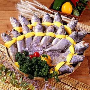 영광 법성포 굴비 2호 40미 (2.5kg내외)