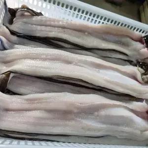 통영 손질 바다장어 대 1kg(손질후650g내외/1~3미)