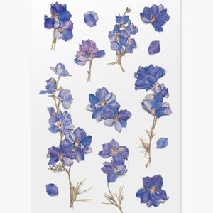 압화스티커 락스퍼 팬시 다꾸 폰꾸 꽃 스티커 책갈피 북마크 꾸미기 재료