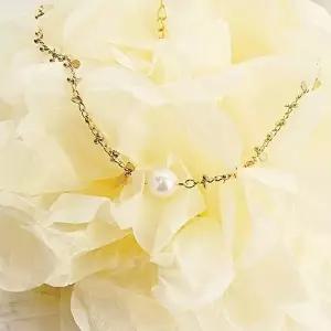 래피 진주 초커 목걸이-WC4CB01