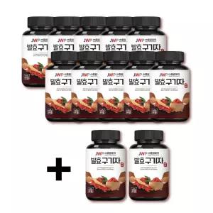 중원제약 발효 구기자환 100g 12병