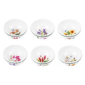 포트메리온 엑소틱 보타낙가든 국공기 1P