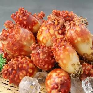 당일조업 통영 피멍게 통멍게 활멍게 2kg (10-20미 내외)