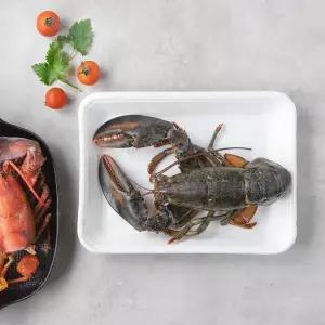 [활][캐나다] 랍스터 (100g)