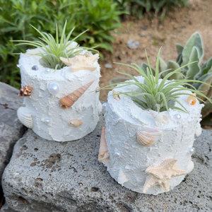 하비코 스컬프쳐 페인팅 이오난사 바다 오브제 DIY 만들기 미술키트 여름만들기