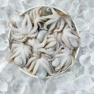 태국 냉동 활쭈꾸미 80-100(12-13미), 100up(8-9미) 1kg 골라담기