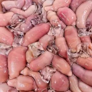 개불 미끼 바다 낚시 밑밥 낚시용 대물 감성돔 미끼 10미