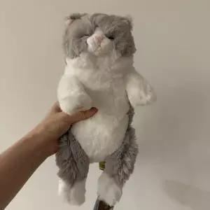 아트박스/콤비니 선레몬 무릎인형 잠자는쓰야쓰야 미니 고양이 인형GY