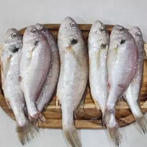 국내산 조기 백조기 2kg