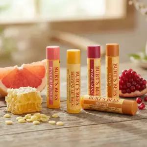 버츠비 보습 립케어 립밤 4.25g 허니 비즈왁스 석류 자몽 택1