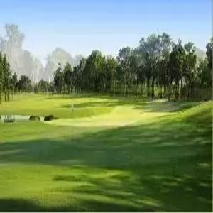 [오전출발/수하물20kg] 방콕 골프 5일 #다색골프 #18홀*3회 #파인허스트CC 외10곳 #스쿰빗시내 4성호텔 #2인출발가능