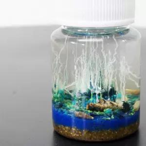 아쿠아 화학 정원만들기(5인)/규산염 해저지층 모형 키트/DIY 과학kit