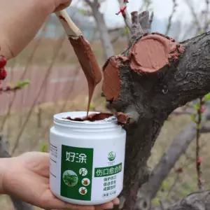나무 상처 보호제 치유제 연고제 분재 코팅 식물 수목