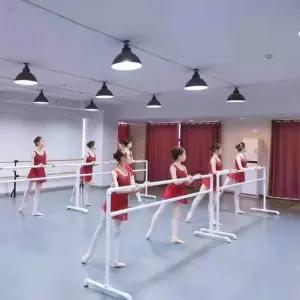 발레바 발레봉 댄스 학원 스포츠 회전 프레스 레그