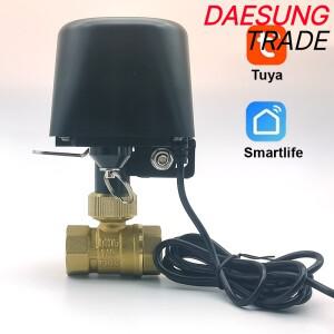 Tuya Zigbee WIFI 스마트 워터 밸브 DN15 홈 자동화 제어 수도꼭지 타이머 지원 Alexa Google Assistant Sm