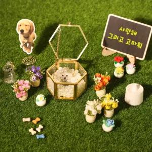 드림베이스 반려동물 추모 미니 화분 세트 LED 보석함 키링 메모리 공간