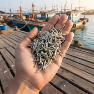 [삼촌식탁] 마른멸치잔멸치 2-3cm 1.5kgX2개