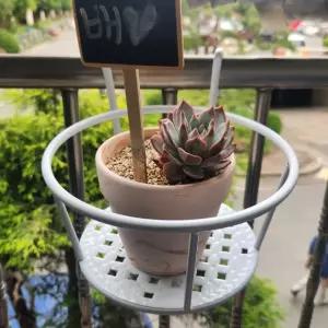 정리대 철제 아파트 걸이 화분 베란다 화이트 화분