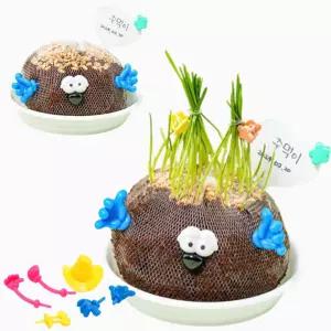 2인용 초등 씨앗키우기 관찰 식물인형만들기 DIY키트 소아병원