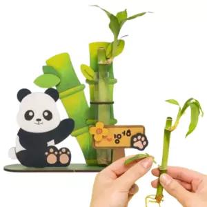 3인용 자연관찰 행사 대나무 시험관 개운죽키우기 어린이날