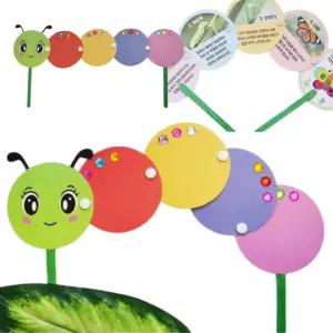 4인용 생물융합수업 움직이는 애벌레 나비변화 초1 카드 어린이