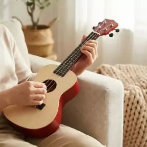 앰쿨 백양나무 콘서트 우쿨렐레 풀세트(4종) (내추럴)