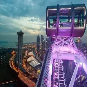 싱가포르 5일#1일자유 #플라이어 #2층버스 #리버보트 #가든스바이더베이 #만다린오리엔탈뷔페 #5성호텔+마리나베이샌즈호텔