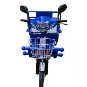 전기 삼륜차 농업용 운반 오토바이 사륜 전동차 화물 트럭