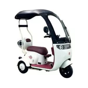 노인 삼륜전동차 스쿠터 여름 캐노피 농업용 운반차량 수리 시니어