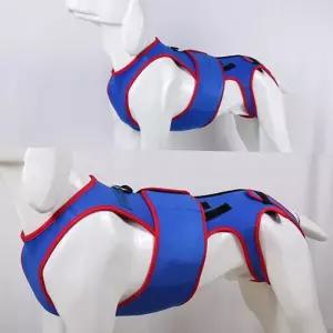 강아지 재활 보조기 강아지산책 의료 노령견 강아지 보조기 척추 보호대 허리 기구